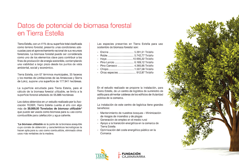 Potencial de biomasa forestal Tierra Estella